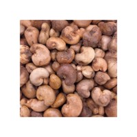 Raw Cashew Nuts offered at discount price for snack food and nut processing industries