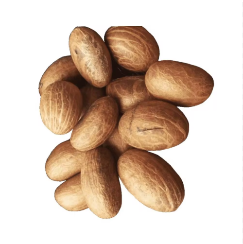 Wholesale Supplier High Quality Bitter Kola Nut