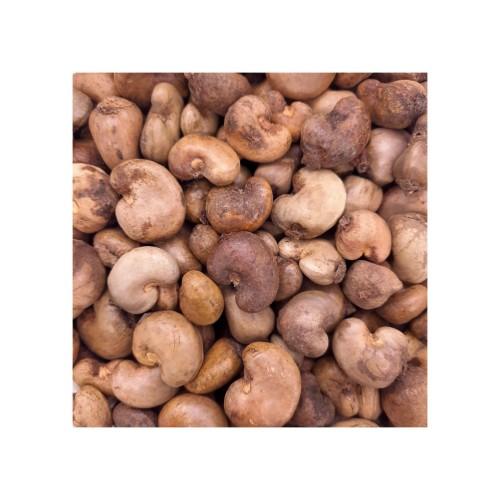 Raw Cashew Nuts offered at discount price for snack food and nut processing industries