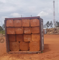 African Hardwood & Softwood Timber Lumber, Logs & Sawn Wood Supplier from Cameroon
