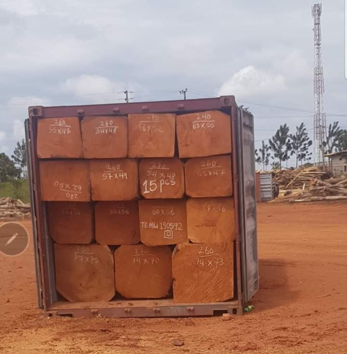 African Hardwood & Softwood Timber Lumber, Logs & Sawn Wood Supplier from Cameroon