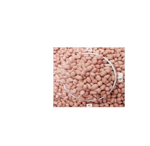 Natural Healthy Raw groundnuts