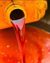 RBD Palm Oil