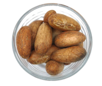 Wholesale Supplier High Quality Bitter Kola Nut