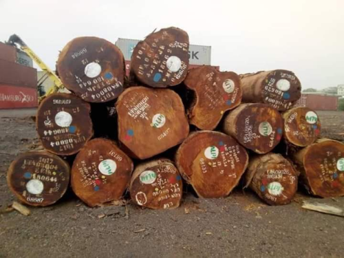 African Hardwood & Softwood Timber Lumber, Logs & Sawn Wood Supplier from Cameroon